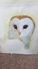 Barny the Barn Owl