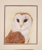 Barny the Barn Owl