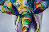 Colorful elephant