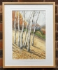 AUTUMN SILVER BIRCHES