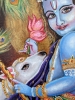 Lord Krishna