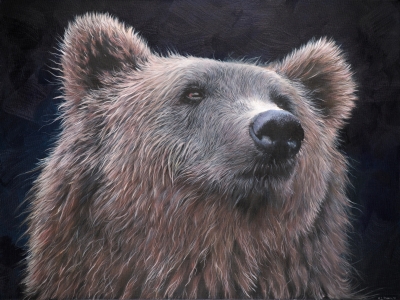 Grizzly Bear