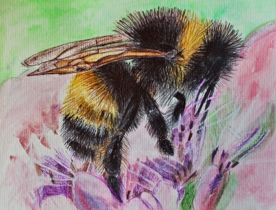 Bumblebee ballpoint pen drawing