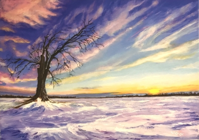 Snowy Fields