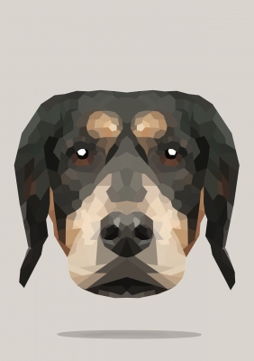 Mr. Dog