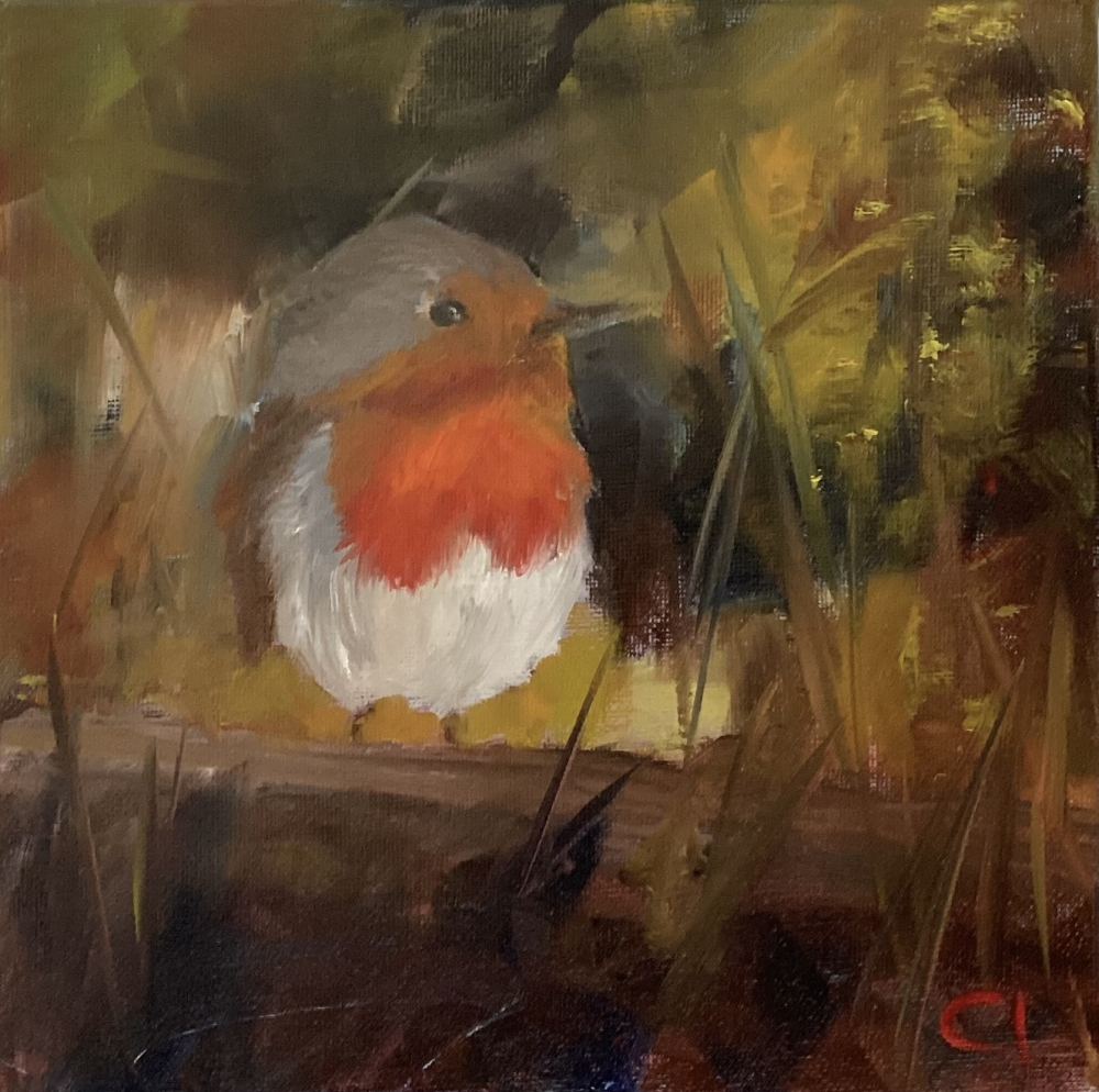 Robin’s Song