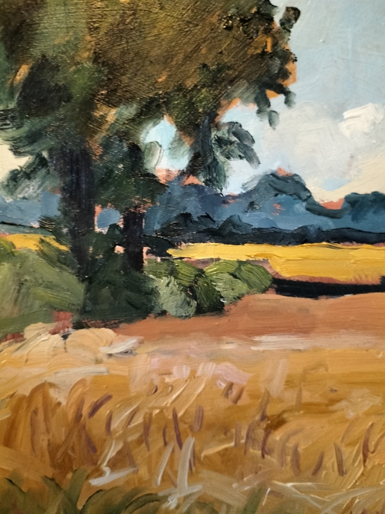 Cornfield, Summer