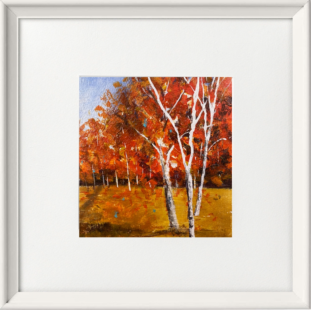 Autumn Silver Birch Trees Landscape framed