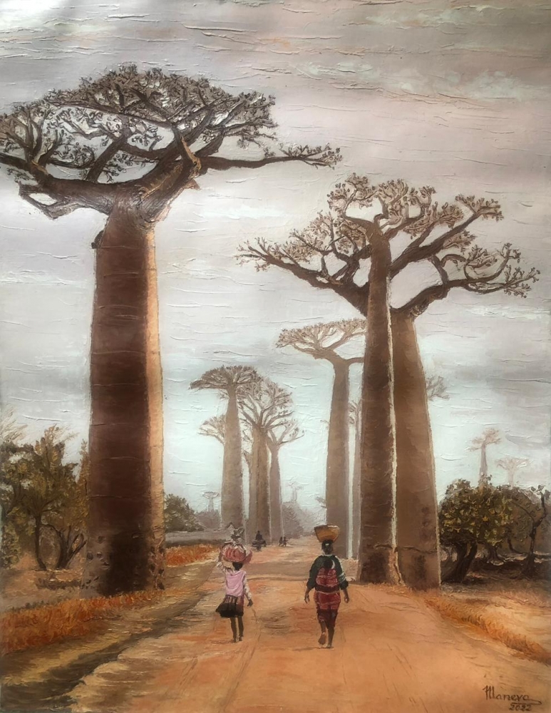 Baobab Landscape