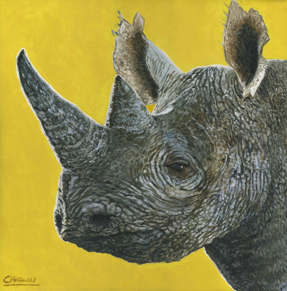 Rhino