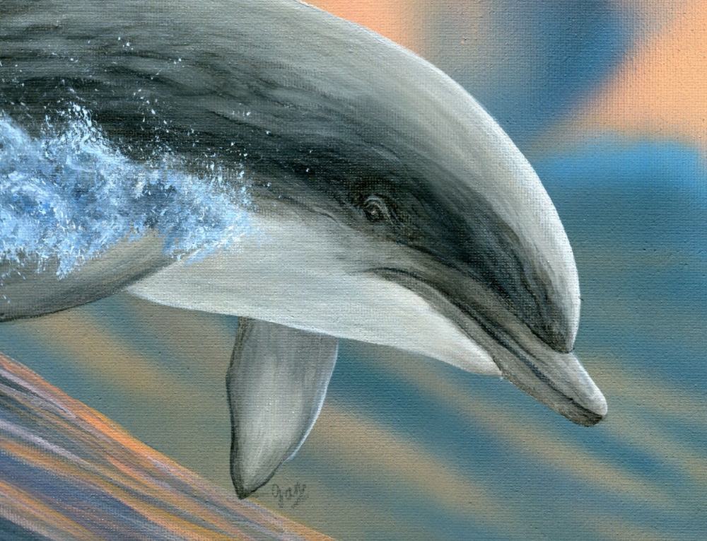 Dolphin Surfer