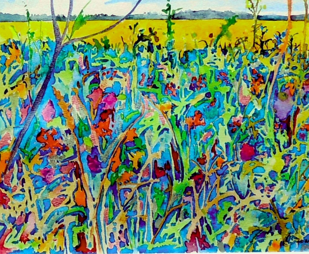 Summer Fields 2