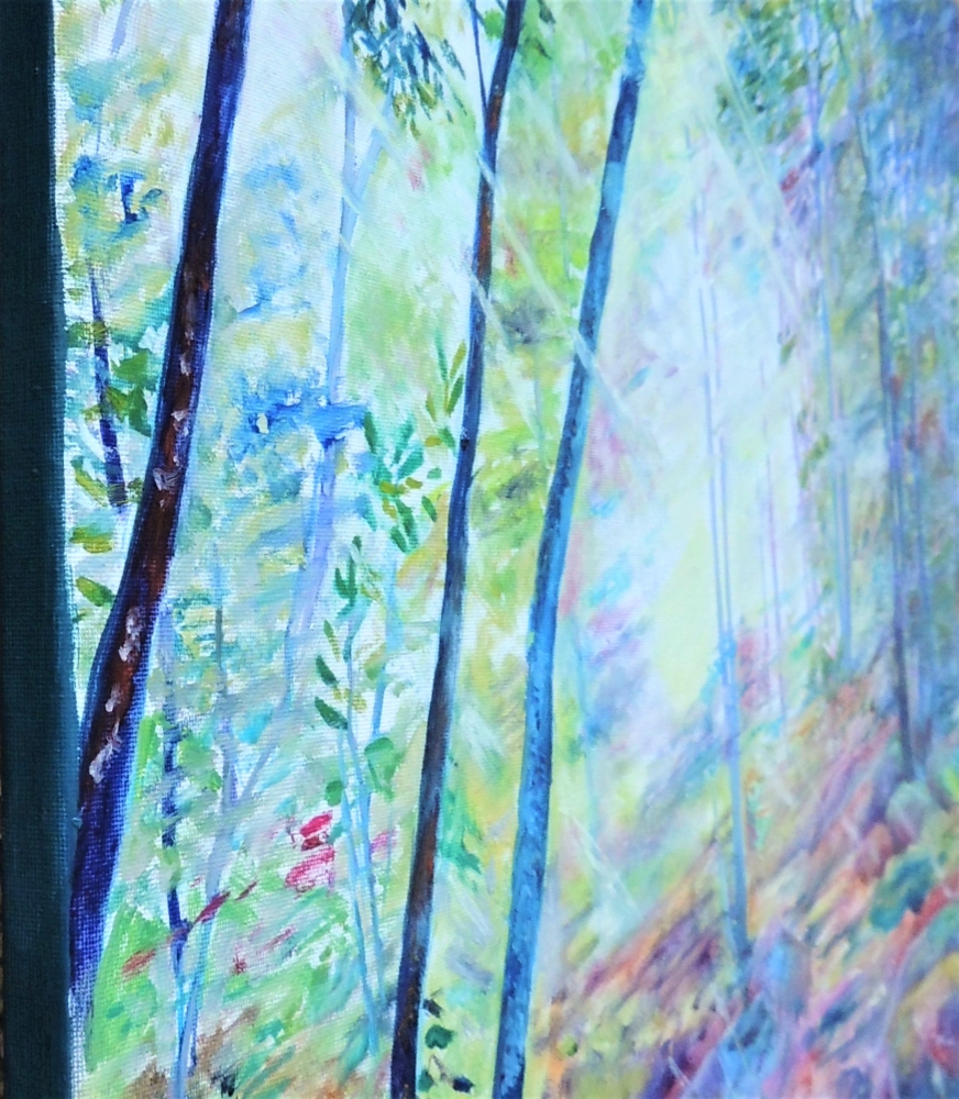 Enchanted Forest