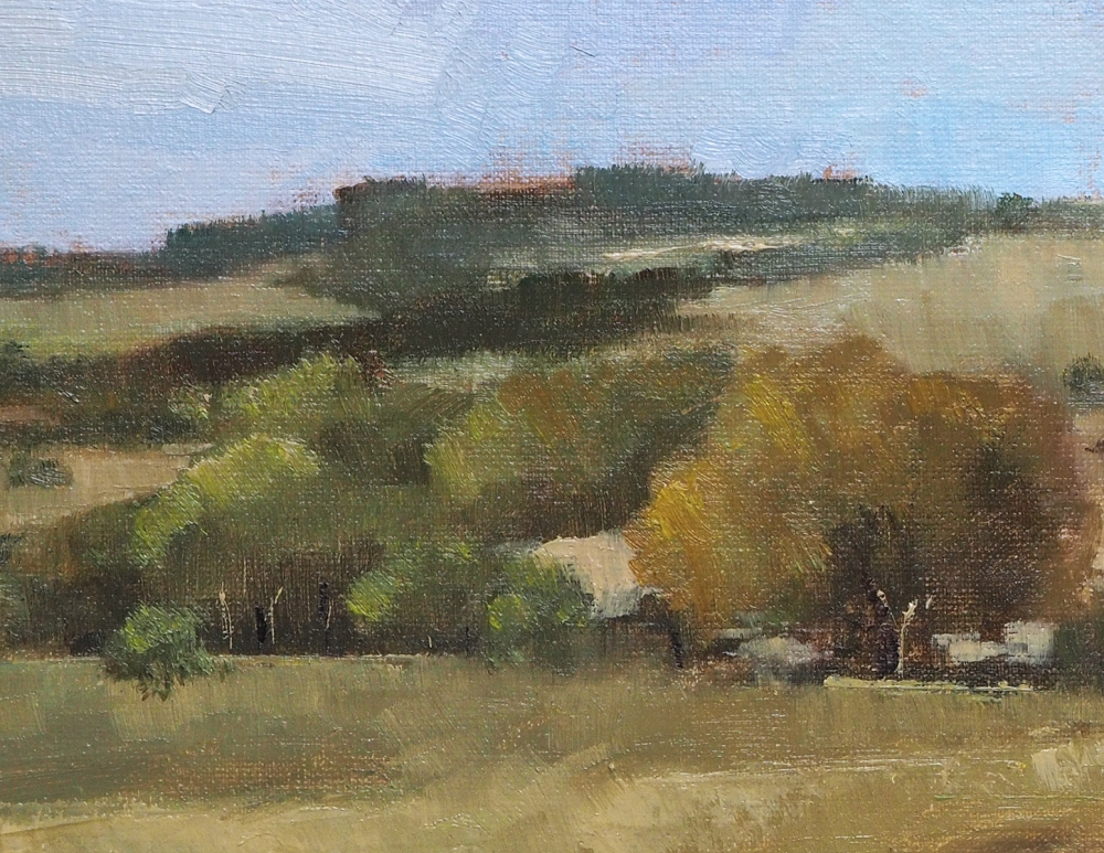 New Forest Landscape