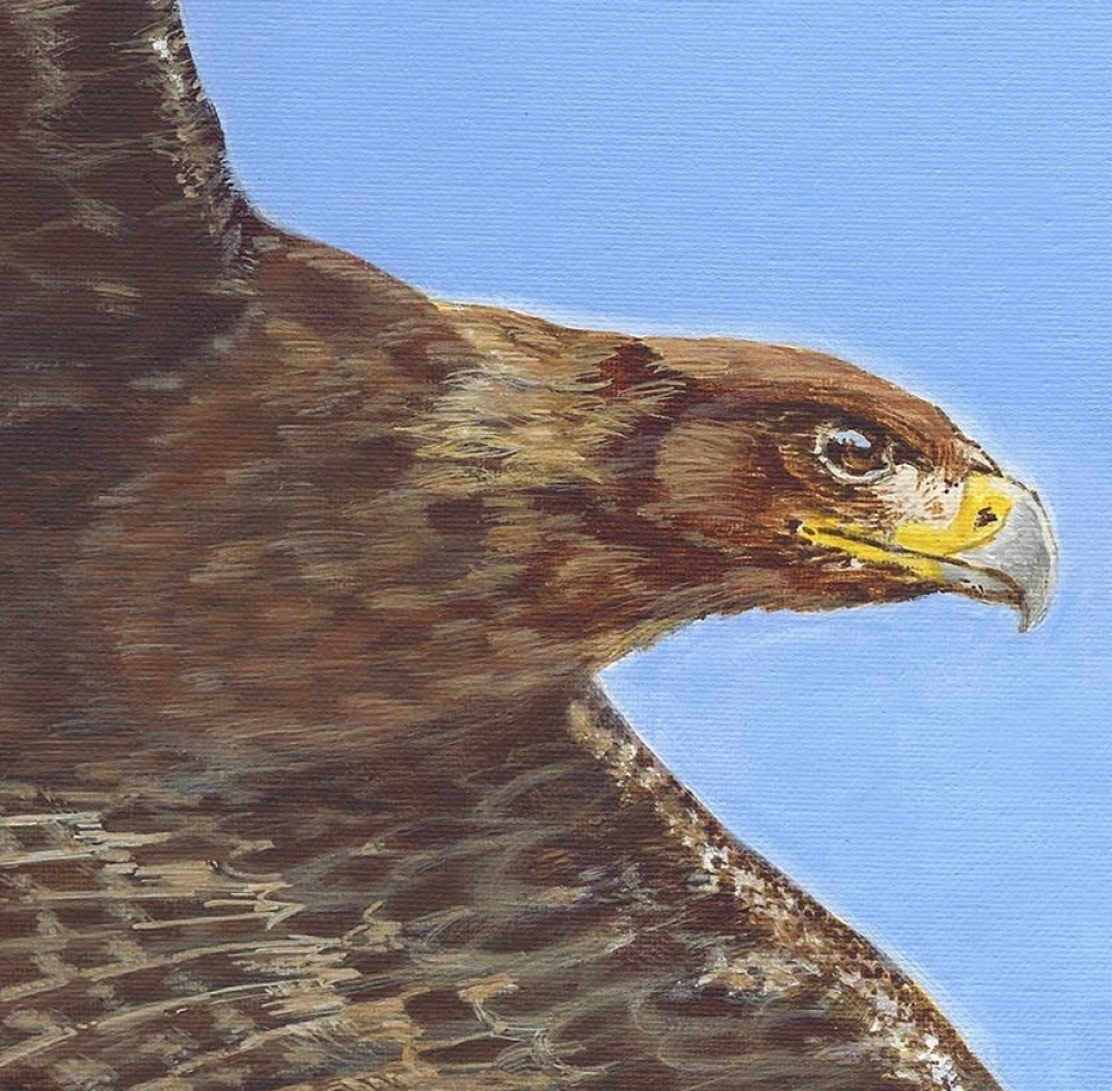 Eagle 