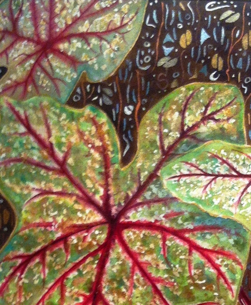 Red Caladium Leaves