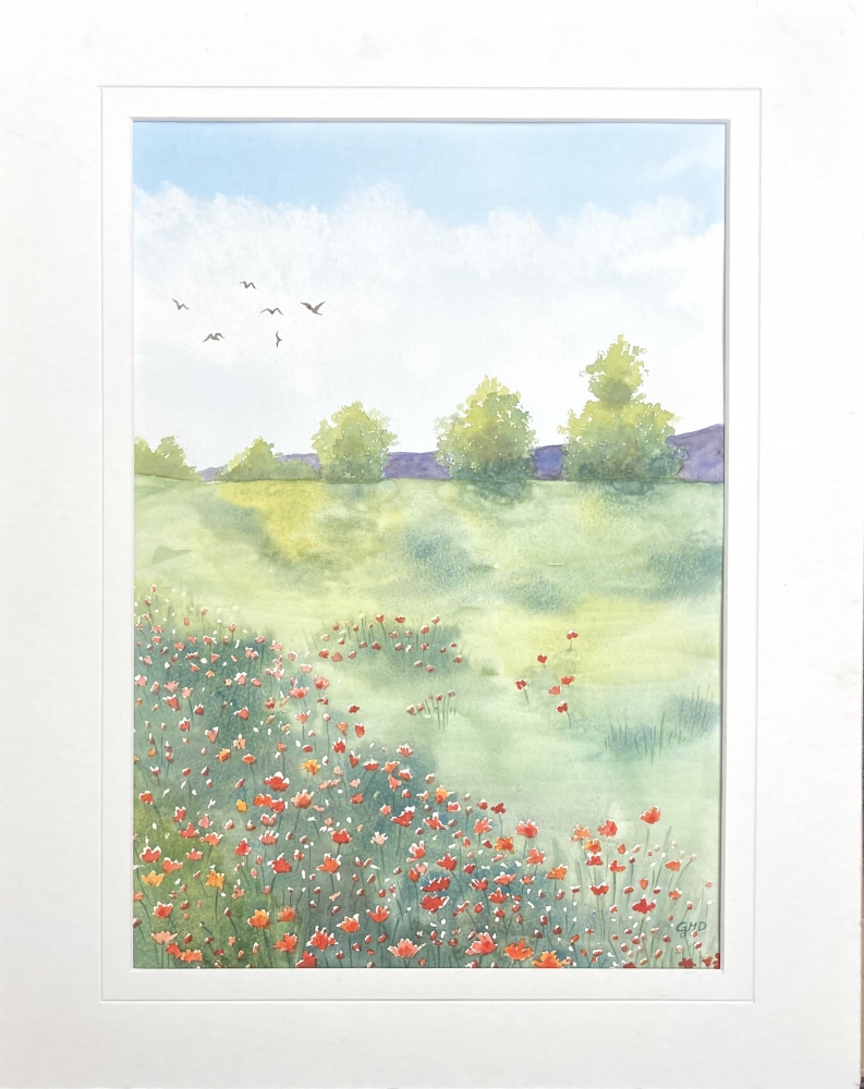 POPPIES IN A FIELD 