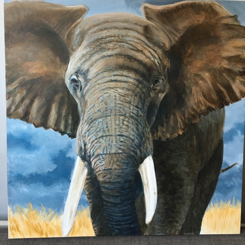 Elephant 