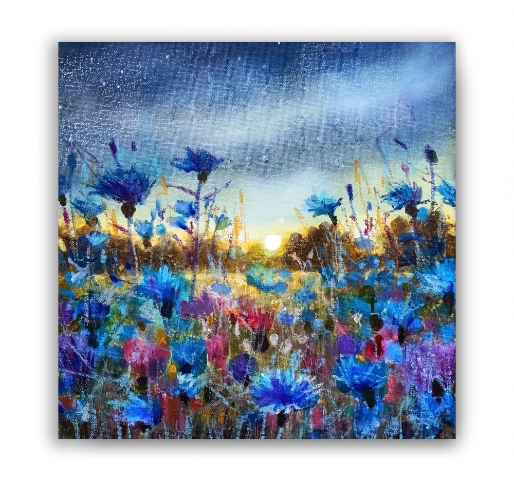 Moonlight Symphony, Cornflowers