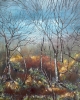 Land of Druantia(Celtic goddess of the land)2