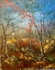 Land of Druantia(Celtic goddess of the land)2