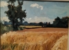 Cornfield, Summer