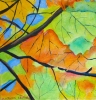 The Sky Beyond Autumn Leaves