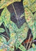 Green Caladium Leaves