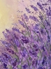 Lavender Dream 2 