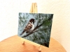 House Sparrow