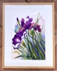 IRISES AND BUTTERFLY