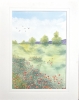 POPPIES IN A FIELD 