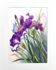 IRISES AND BUTTERFLY