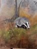 Badgers