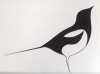 Magpie Joy 2