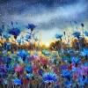 Moonlight Symphony, Cornflowers