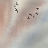 Swallows Flying Home