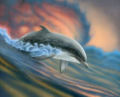 Dolphin Surfer