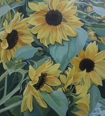 Bright Yellow Sunflowers