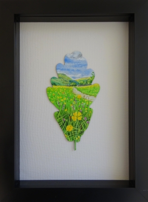 Sunshine Meadow