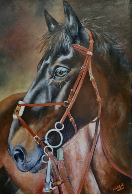 Horse Portrait 