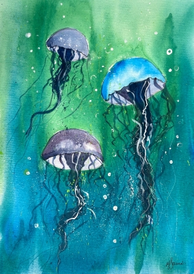 Jellyfish in the Sea