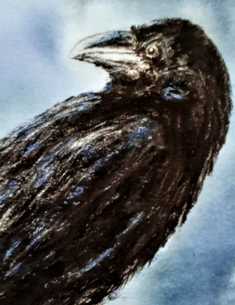 Eyes of Odin; Huginn and Munnin Odin's Ravens