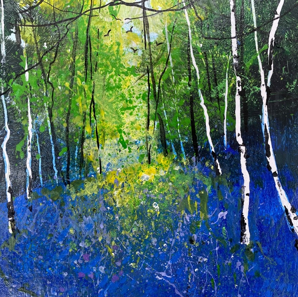 Bluebells, Silver Birch Trees framed