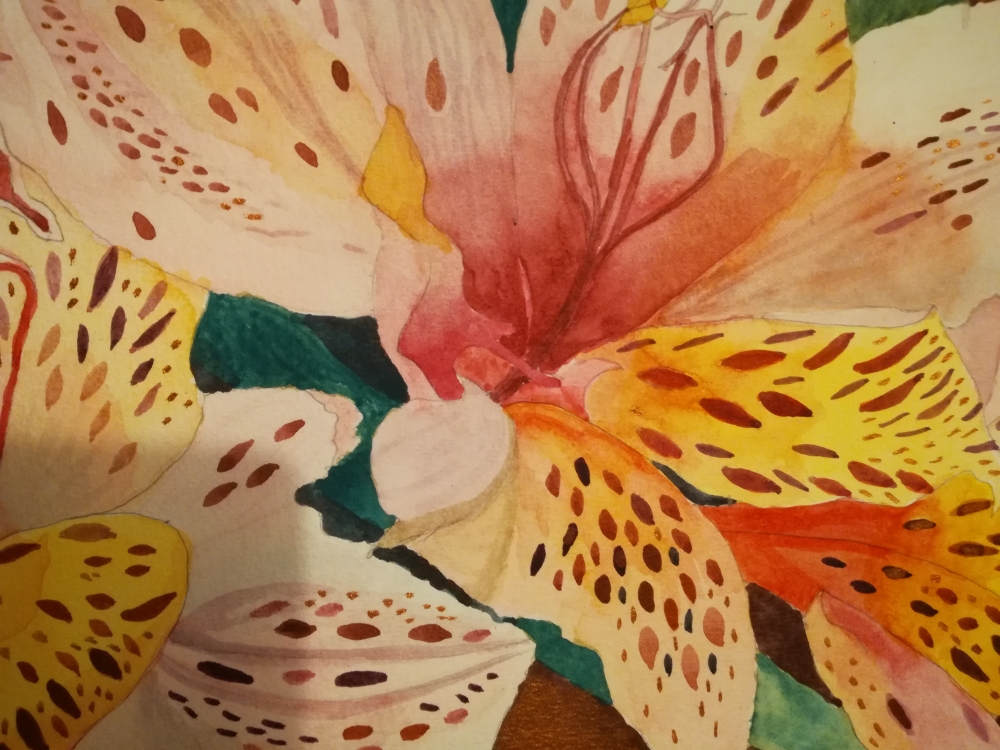 Alstroemeria lilies watercolour. 