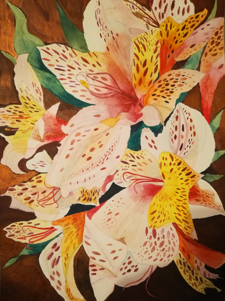 Alstroemeria lilies watercolour. 