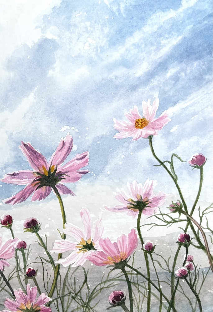 PINK DAISIES