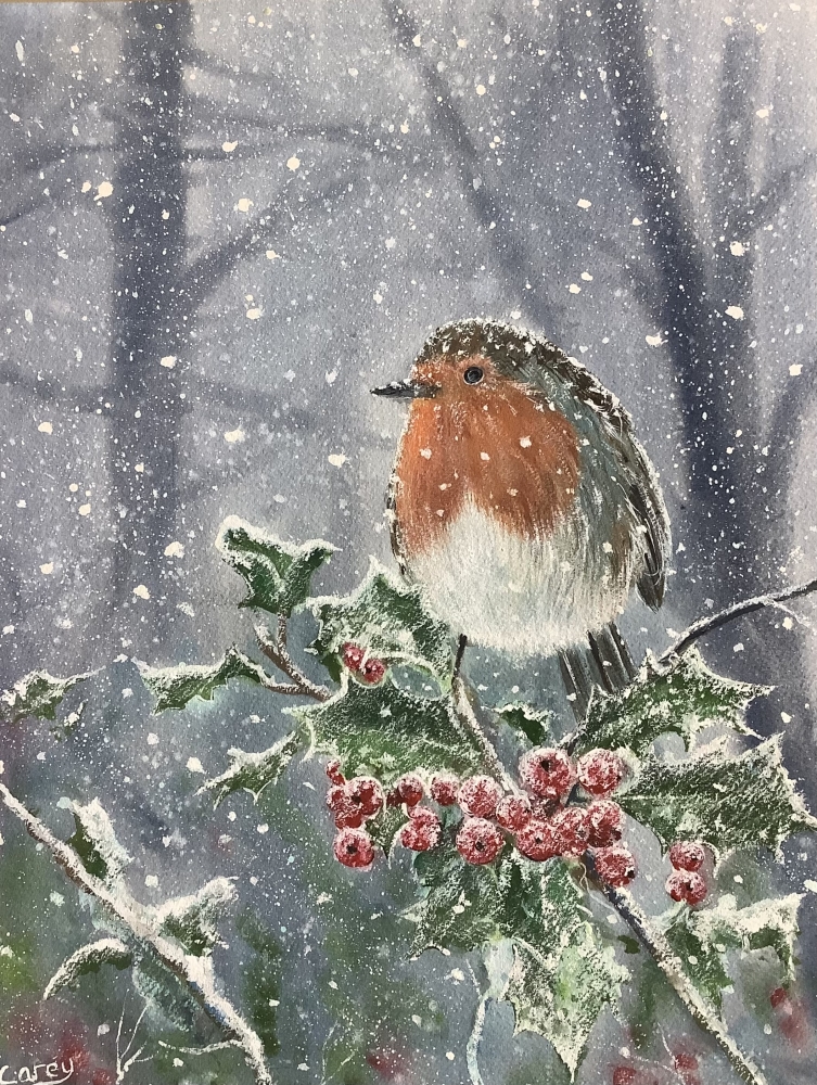 Winter Robin