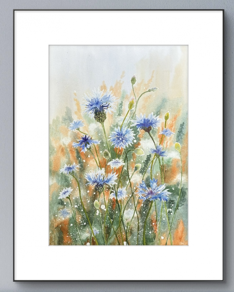 CORNFLOWER MEADOW 