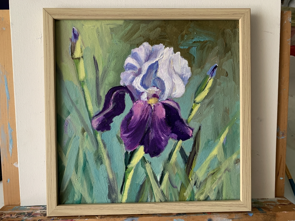 Iris. flower.